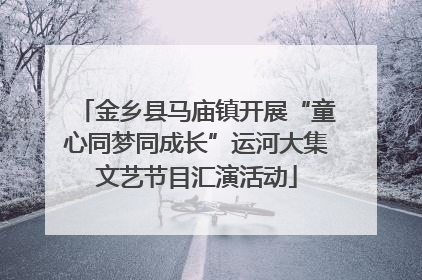 金乡县马庙镇开展“童心同梦同成长”运河大集文艺节目汇演活动