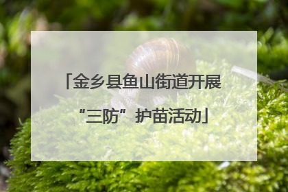 金乡县鱼山街道开展“三防”护苗活动