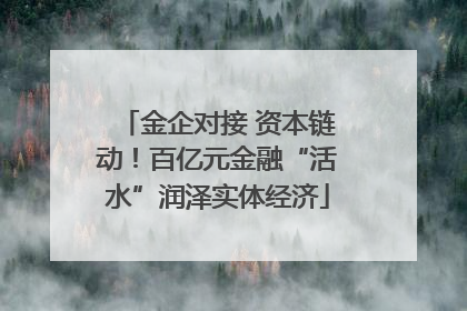金企对接 资本链动！百亿元金融“活水”润泽实体经济