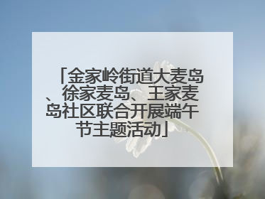 金家岭街道大麦岛、徐家麦岛、王家麦岛社区联合开展端午节主题活动