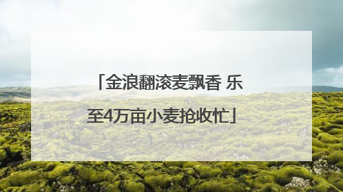 金浪翻滚麦飘香 乐至4万亩小麦抢收忙