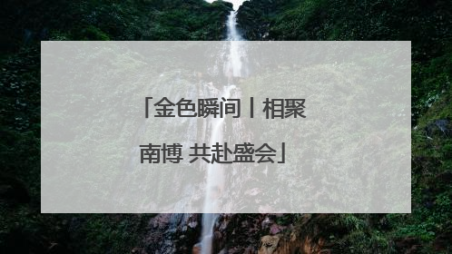 金色瞬间丨相聚南博 共赴盛会