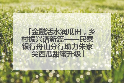 金融活水润瓜田，乡村振兴谱新篇——民泰银行舟山分行助力朱家尖西瓜甜蜜升级