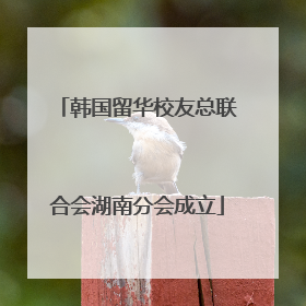 韩国留华校友总联合会湖南分会成立