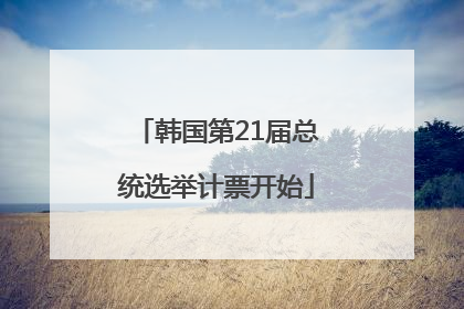 韩国第21届总统选举计票开始