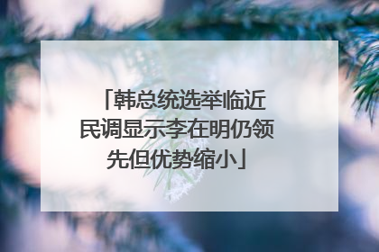 韩总统选举临近 民调显示李在明仍领先但优势缩小