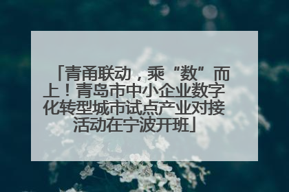 青甬联动，乘“数”而上！青岛市中小企业数字化转型城市试点产业对接活动在宁波开班