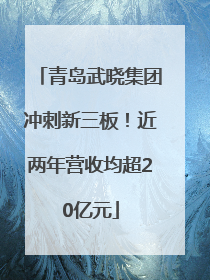 青岛武晓集团冲刺新三板！近两年营收均超20亿元