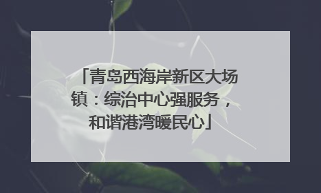 青岛西海岸新区大场镇：综治中心强服务，和谐港湾暖民心