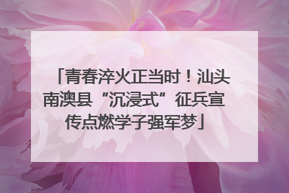青春淬火正当时！汕头南澳县“沉浸式”征兵宣传点燃学子强军梦