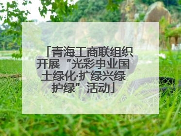 青海工商联组织开展“光彩事业国土绿化·扩绿兴绿护绿”活动