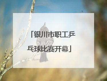 银川市职工乒乓球比赛开幕