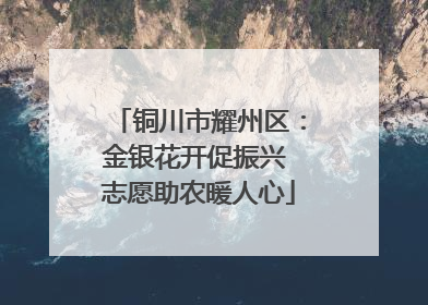 铜川市耀州区：金银花开促振兴 志愿助农暖人心
