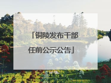 铜陵发布干部任前公示公告