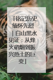 铭记历史 缅怀先烈｜白山黑水见证：从烽火硝烟到振兴热土的巨变