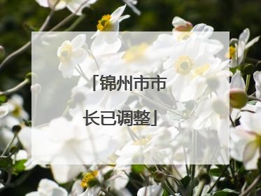 锦州市市长已调整