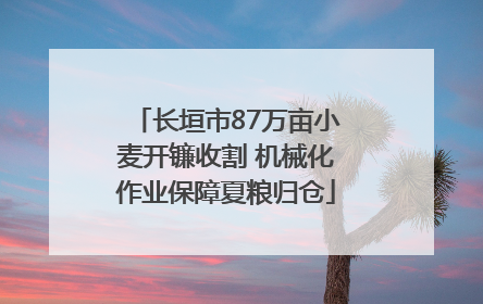 长垣市87万亩小麦开镰收割 机械化作业保障夏粮归仓