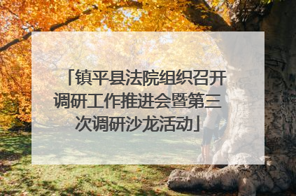 镇平县法院组织召开调研工作推进会暨第三次调研沙龙活动