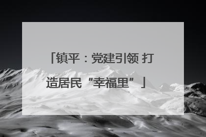 镇平：党建引领 打造居民“幸福里”