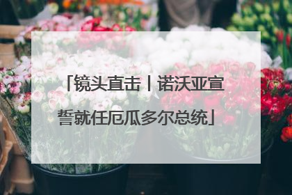 镜头直击丨诺沃亚宣誓就任厄瓜多尔总统