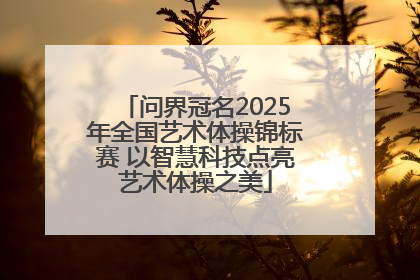 问界冠名2025年全国艺术体操锦标赛 以智慧科技点亮艺术体操之美