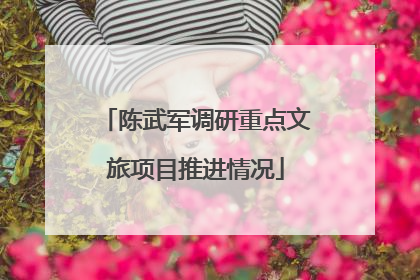 陈武军调研重点文旅项目推进情况