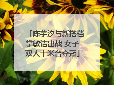 陈芋汐与新搭档掌敏洁出战 女子双人十米台夺冠