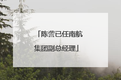 陈詟已任南航集团副总经理