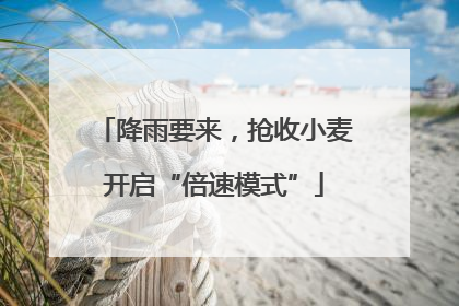 降雨要来，抢收小麦开启“倍速模式”
