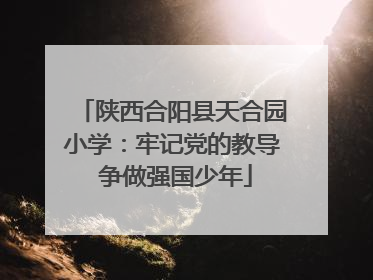 陕西合阳县天合园小学：牢记党的教导 争做强国少年