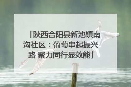 陕西合阳县新池镇南沟社区：葡萄串起振兴路 聚力同行显效能