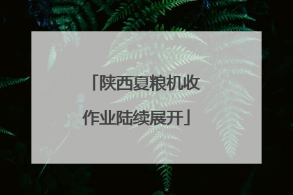 陕西夏粮机收作业陆续展开