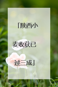 陕西小麦收获已过三成