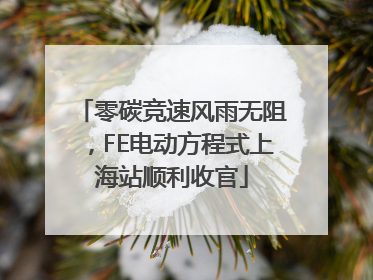 零碳竞速风雨无阻，FE电动方程式上海站顺利收官