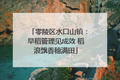 零陵区水口山镇：早稻管理见成效 稻浪飘香穗满田