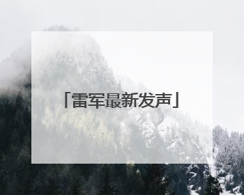 雷军最新发声