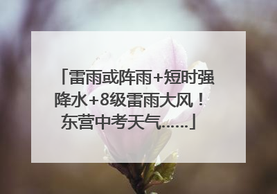 雷雨或阵雨+短时强降水+8级雷雨大风！东营中考天气……