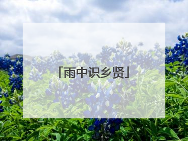 雨中识乡贤