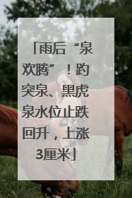 雨后“泉欢腾”！趵突泉、黑虎泉水位止跌回升，上涨3厘米