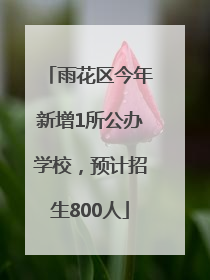 雨花区今年新增1所公办学校，预计招生800人