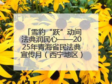 雪豹“跃”动间 法典润民心——2025年青海省民法典宣传月（西宁地区）主场活动见闻