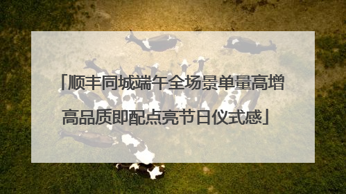 顺丰同城端午全场景单量高增 高品质即配点亮节日仪式感