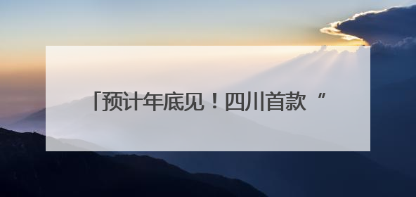 预计年底见！四川首款“懂情感”的机器人要来了，公司刚获数千万元融资