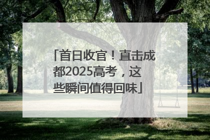 首日收官！直击成都2025高考，这些瞬间值得回味