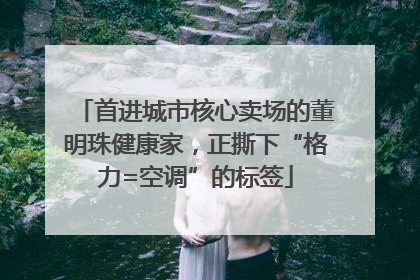 首进城市核心卖场的董明珠健康家，正撕下“格力=空调”的标签