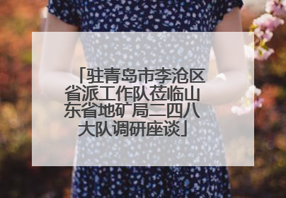 驻青岛市李沧区省派工作队莅临山东省地矿局二四八大队调研座谈