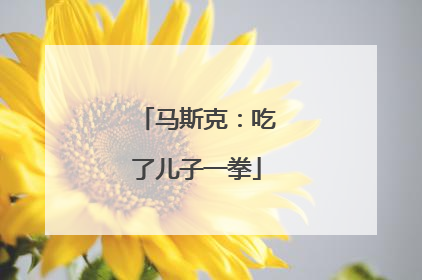 马斯克：吃了儿子一拳