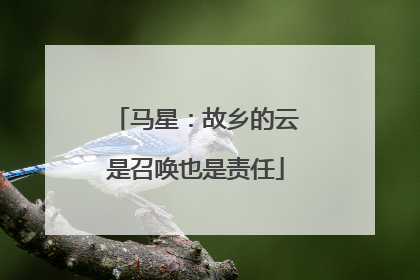 马星：故乡的云是召唤也是责任