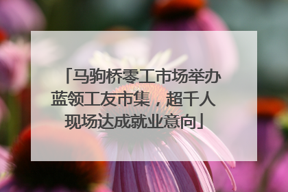马驹桥零工市场举办蓝领工友市集，超千人现场达成就业意向