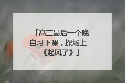 高三最后一个晚自习下课，操场上《起风了》